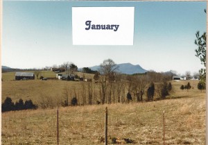 Building Site for Blue Mountain Mist, 1987.